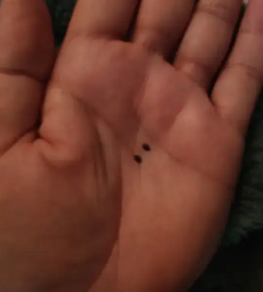 couple in my hand