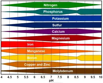 ph and nutrient availability