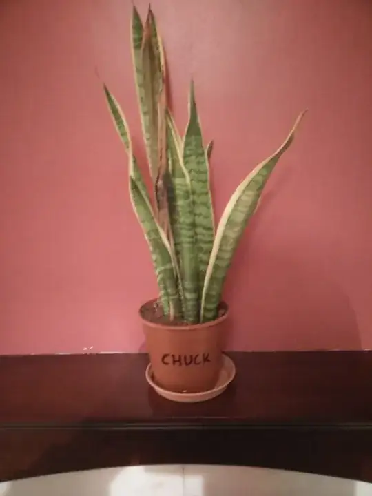 Chuck