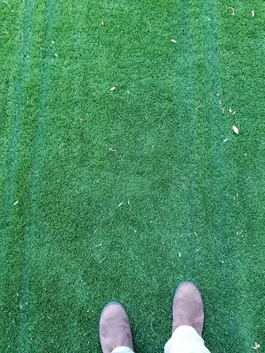 stripes_in_lawn1