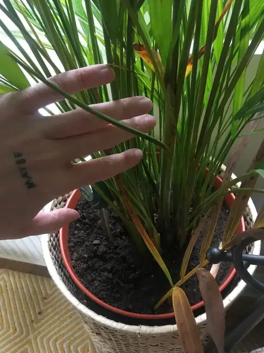 Bendy frond