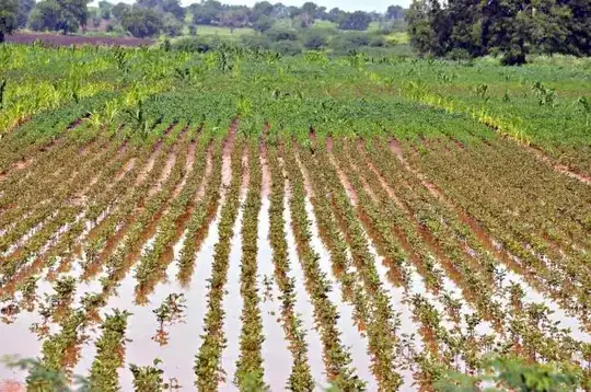 Picture of flooded field