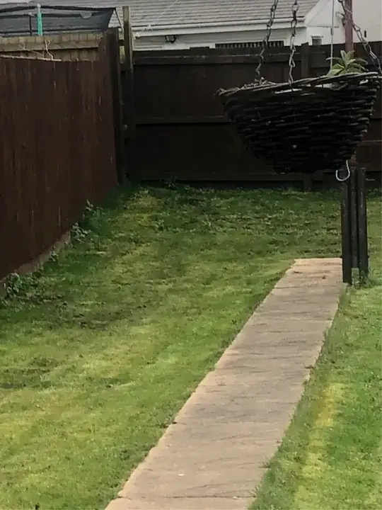 My uneven garden