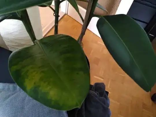 damage in early stage