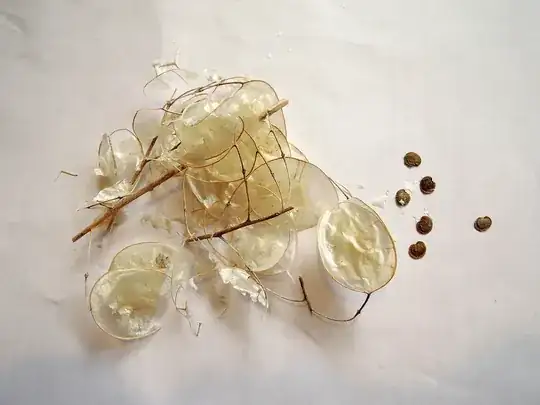 Seeds 1