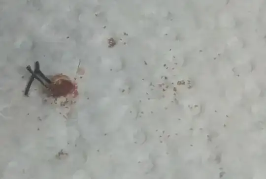 I cut one open