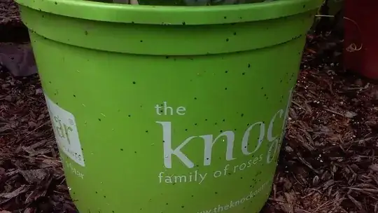 Black dots on the pots