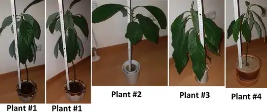 Trees 1, 2, 3, 4