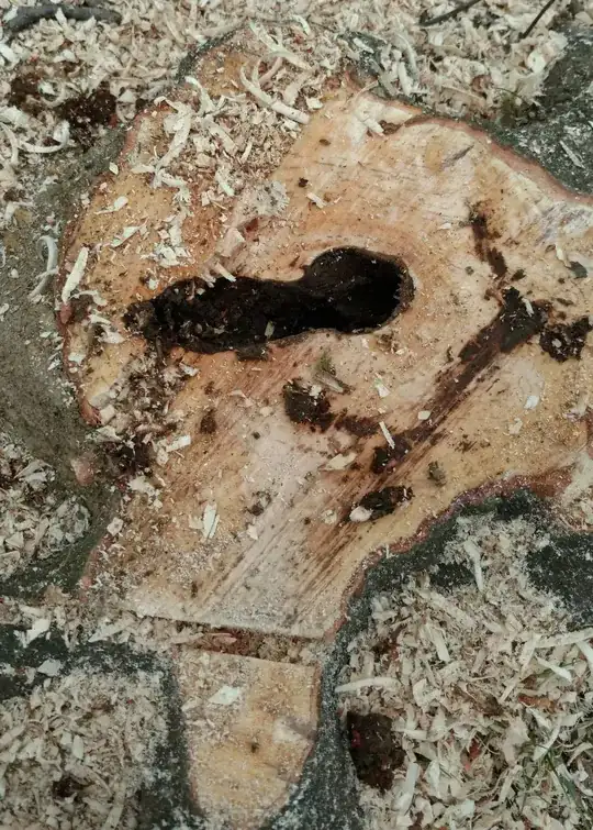 Stump with hole