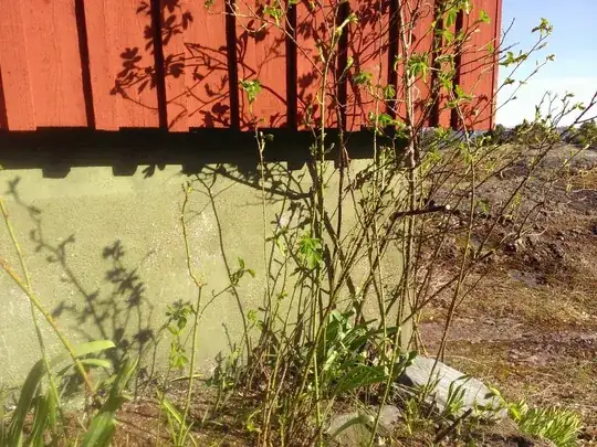 rose stems