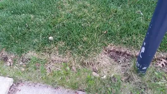 odd sod job 2