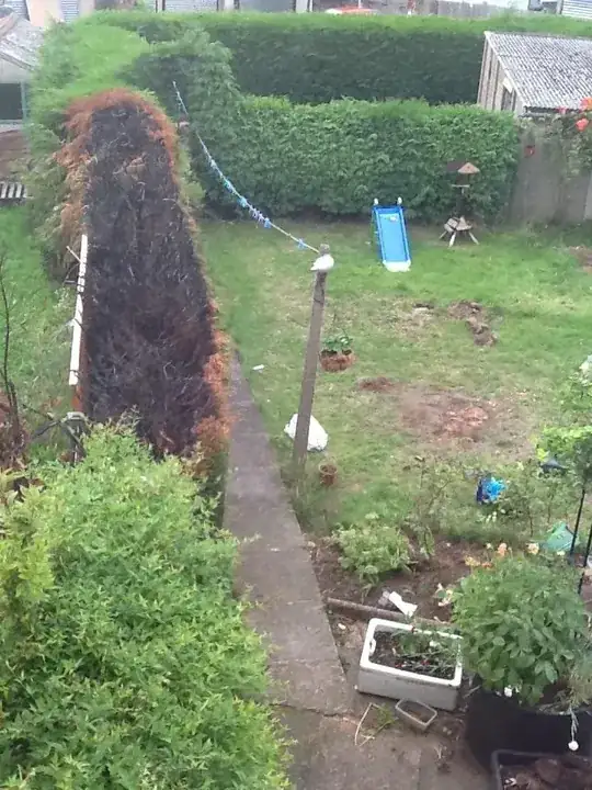 burnt hedge