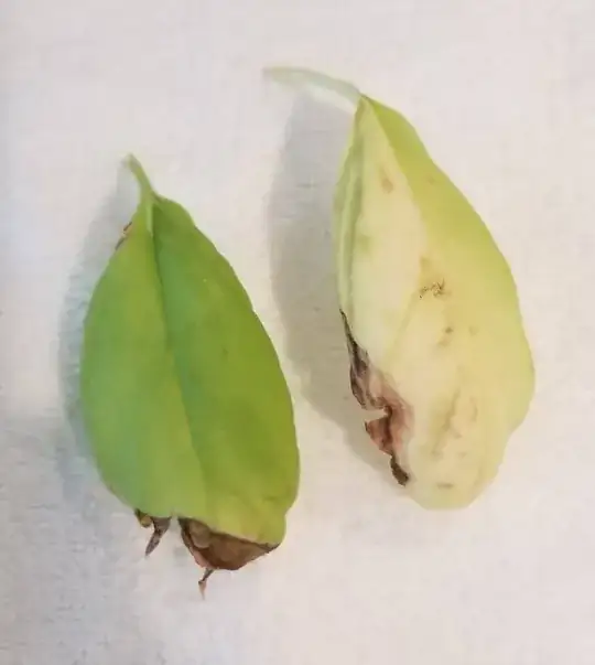some of the bad leaves