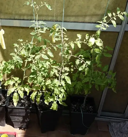 Pots