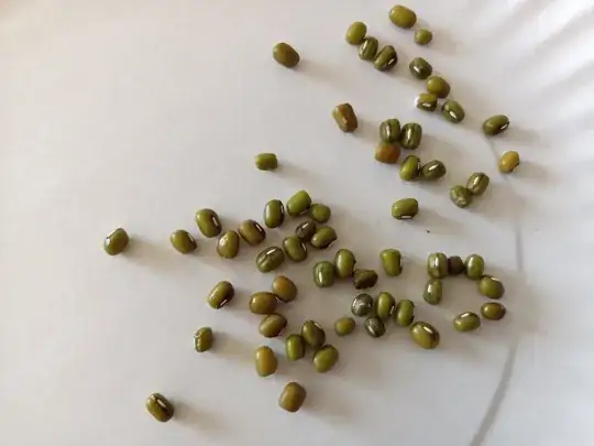 The Beans