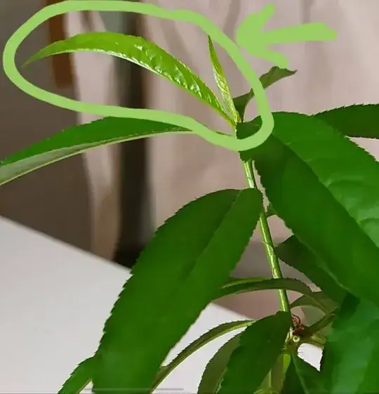 Seedlings