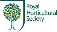 Asparagus
