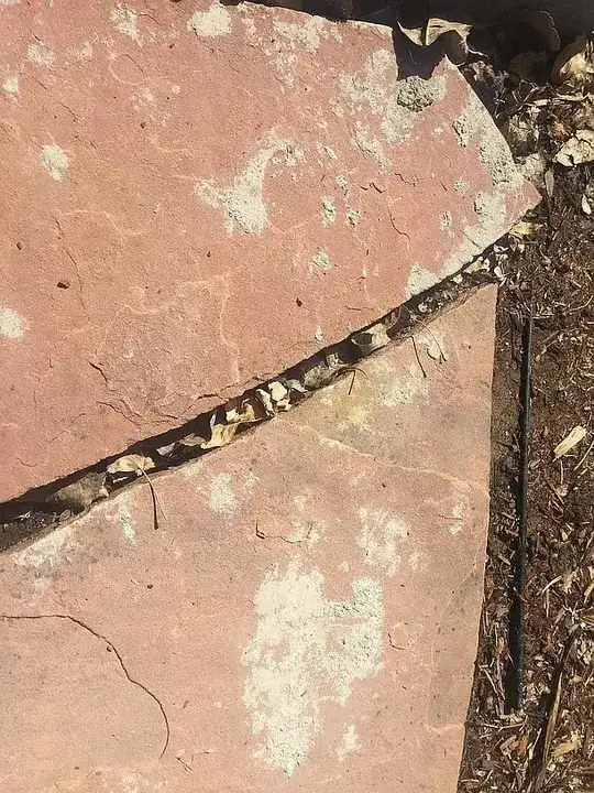 as shown here