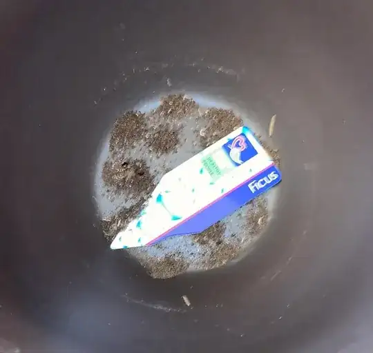 ugh maggots