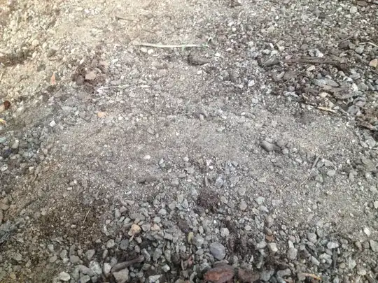 tracks