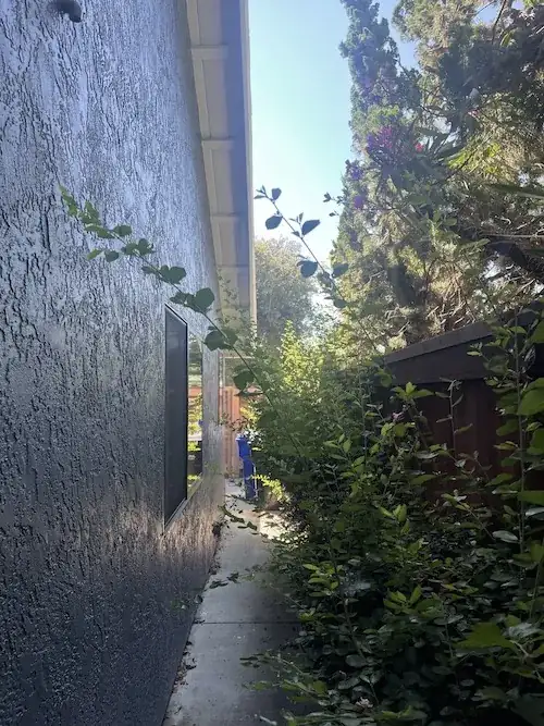 The hedge