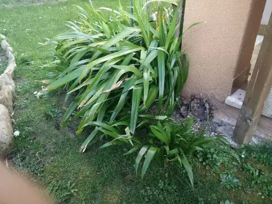overgrow 2