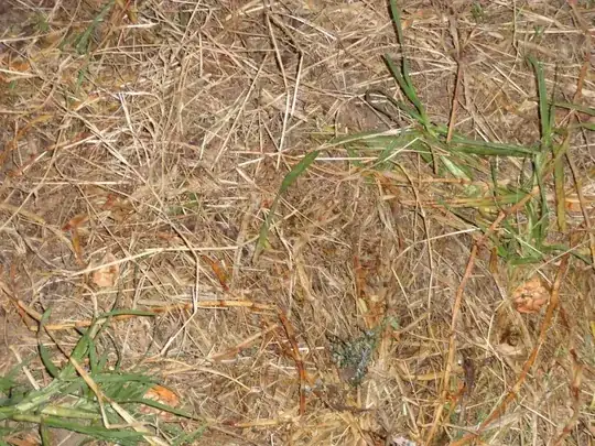 http://i1277.photobucket.com/albums/y499/evilgrasscorporation/EvilGrass3_zps45d0d552.jpg