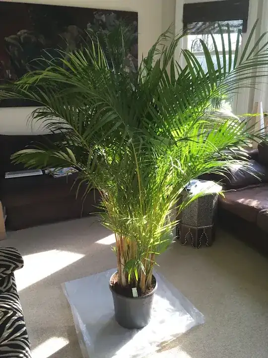 Complete Plant