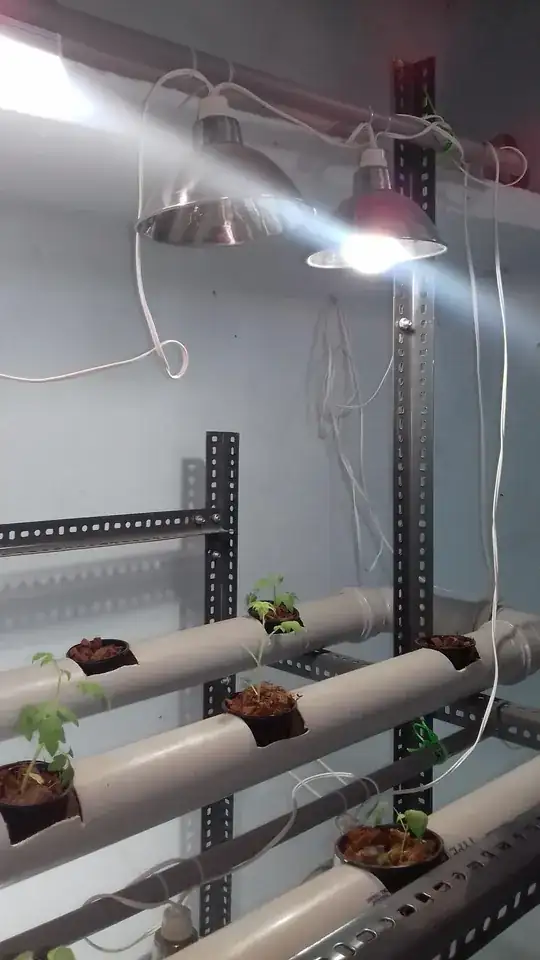 Two level NFT Hydroponic close-up