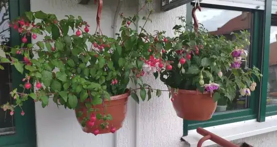 Pots