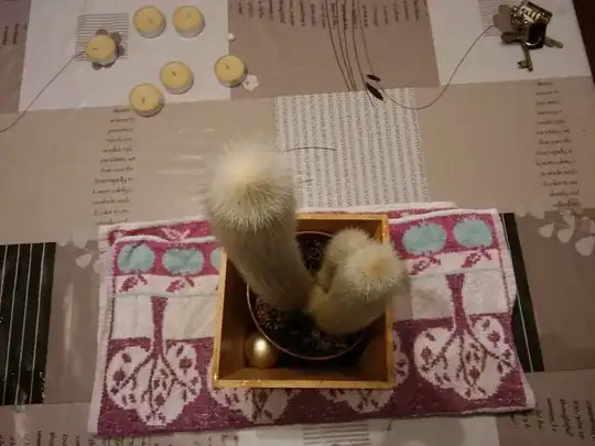 Top view of cacti