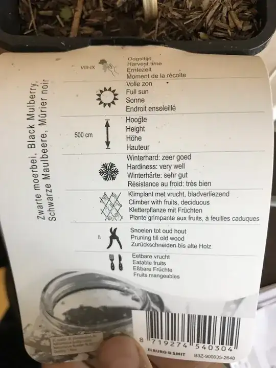 label back