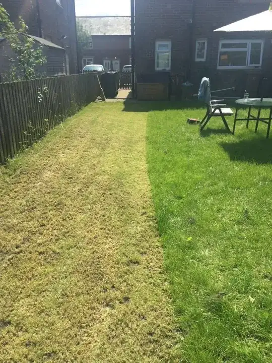 Image]: ([![Garden