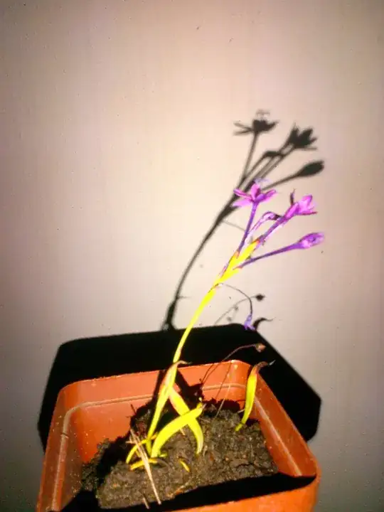 Bonsai