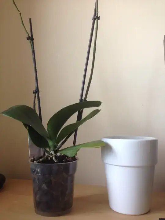 The withered plant
