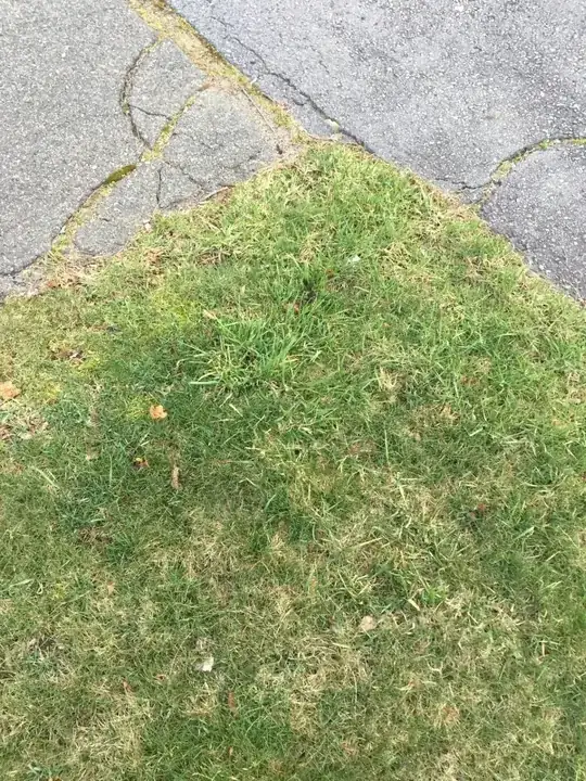 weird grass 3
