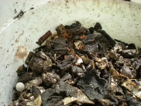 compost