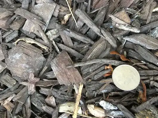 Woodchips or mulch