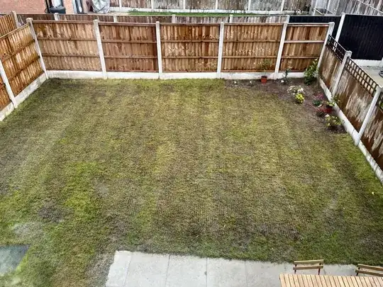 Scarified lawn