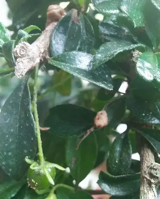 also on other branches