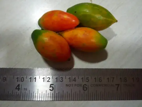 Coccinia grandis fruit
