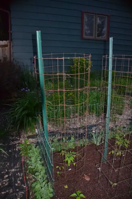 Five foot tall tomato cage