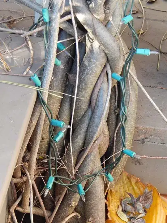 bottom of vine