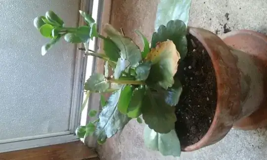 front plant