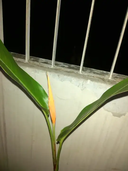 Picture of the plant