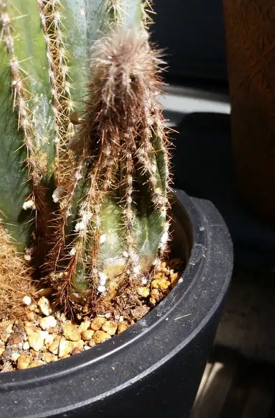 Collapsed Cactus