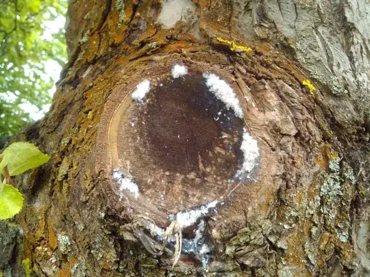 apple tree with white fuzz