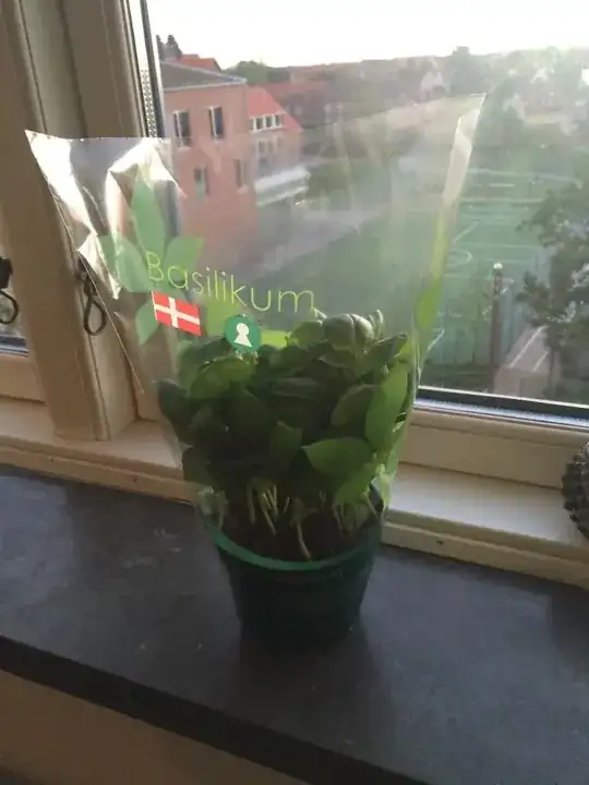 Fresh one