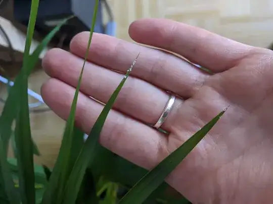 Close-up of two leaf tips
