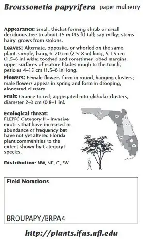 Category II invasive
